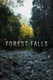 Forest Falls' Poster