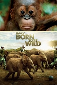 Born to Be Wild' Poster