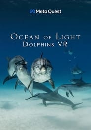 Ocean of Light  Dolphins VR' Poster