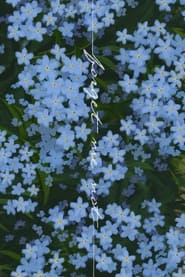 Forget me not' Poster