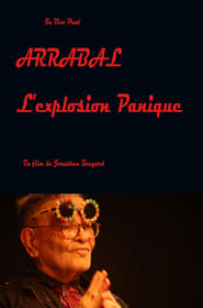 Arrabal lexplosion panique' Poster