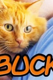 Arbuckle A Garfield Fan Film' Poster