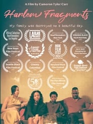 Harlem Fragments' Poster