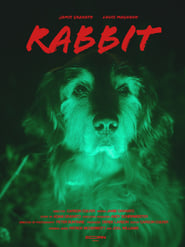 Rabbit' Poster