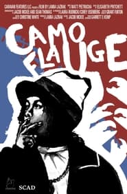 Camoflauge' Poster