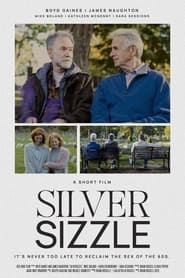 SilverSizzle' Poster