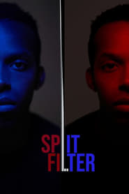 Split Filter