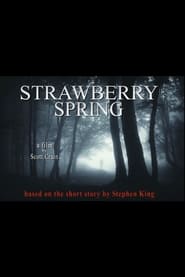 Strawberry Spring' Poster