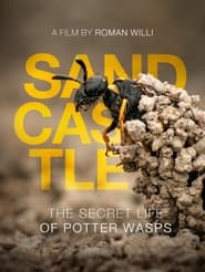 Sandcastle  The Secret Life of Potter Wasps' Poster