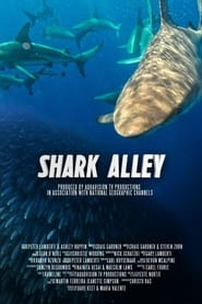 Shark Alley' Poster