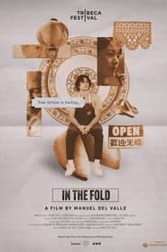 In the Fold' Poster