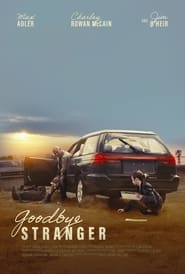 Goodbye Stranger' Poster