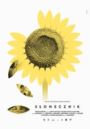 Sunflower' Poster