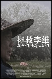 Saving Levi' Poster