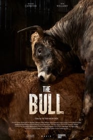 The Bull' Poster