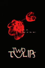 Two Tulips' Poster