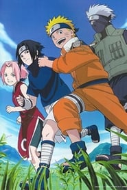 Naruto Hidden Leaf Village Grand Sports Festival' Poster