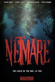 Netmare' Poster