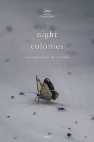 Night Colonies' Poster