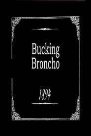 Bucking Broncho' Poster