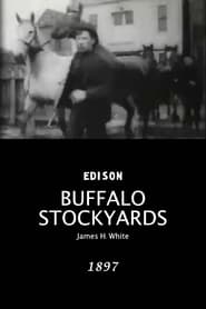 Buffalo Stockyards' Poster