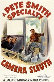 Camera Sleuth' Poster