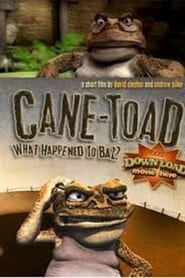 CaneToad What Happened to Baz' Poster