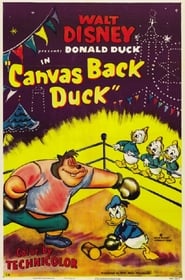 Canvas Back Duck' Poster