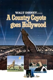 A Country Coyote Goes Hollywood' Poster