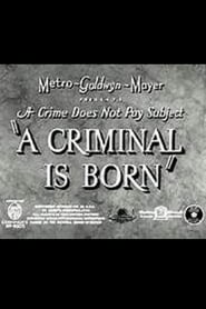 A Criminal Is Born' Poster