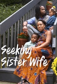 Seeking Sister Wife' Poster