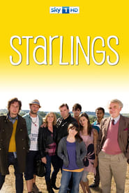Starlings' Poster