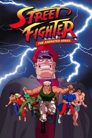 Street Fighter The Animated Series