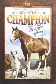 The Adventures of Champion' Poster