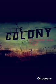 The Colony' Poster