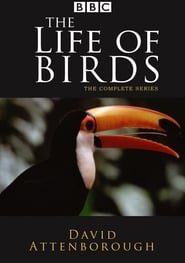 Streaming sources forThe Life of Birds