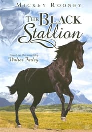 The New Adventures of the Black Stallion' Poster