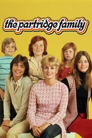The Partridge Family' Poster