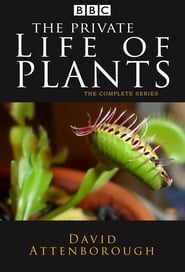 Streaming sources forThe Private Life of Plants