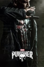 Streaming sources forThe Punisher