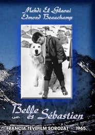 Belle et Sbastien' Poster