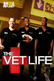 The Vet Life' Poster