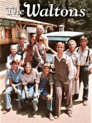 The Waltons' Poster