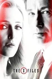 The XFiles' Poster
