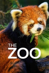 The Zoo' Poster