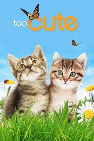Too Cute' Poster