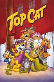 Top Cat' Poster