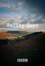 Valley Cops' Poster