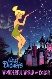 The Magical World of Disney' Poster