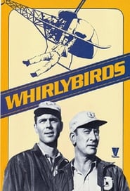Whirlybirds' Poster
